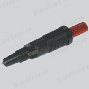 Igniter