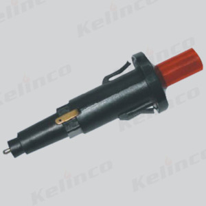 Ignitor