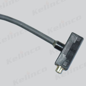 Ignitor