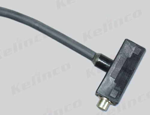 Ignitor